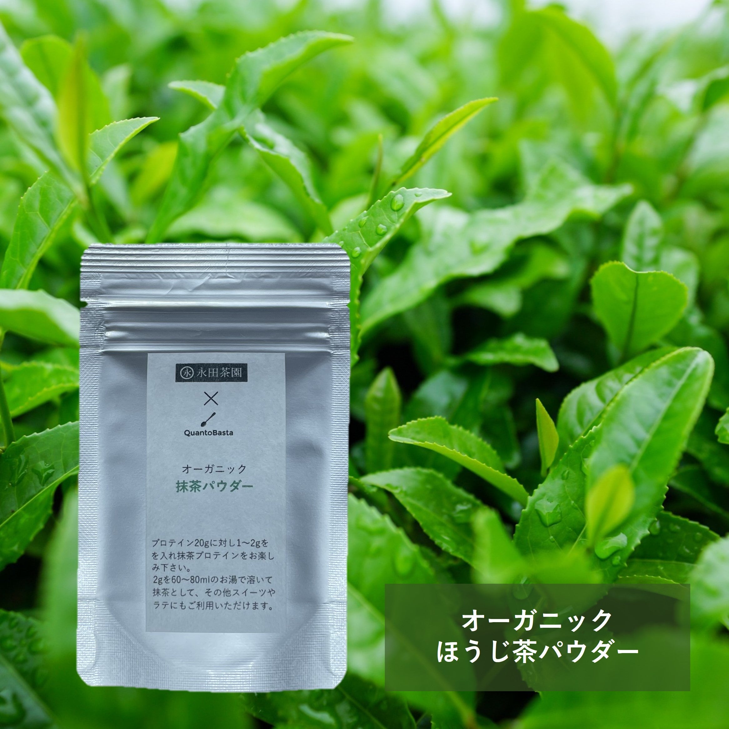 永田茶園×QuantoBasta】 オーガニック抹茶パウダー – QuantoBasta Kitchen