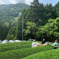 【永田茶園×QuantoBasta】　オーガニックほうじ茶パウダー